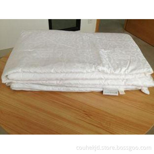 Light Thin White 100% Mulberry Silk Winter Down Comforter F